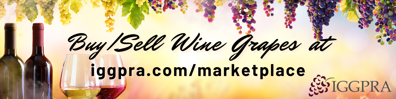 Wine Grape marketplace Paso Robles